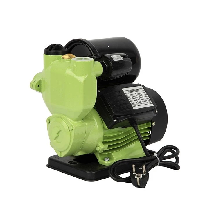 High Performance PW125 Pump For Residential Water Supply & Garden Irrigation factory