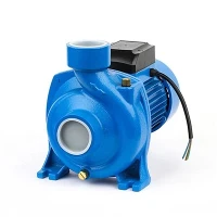 Pompa elettrica centrifuga HFM/6CR 1.1kw 2HP per irrigazione agricola al miglior prezzo Cpm per acqua