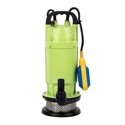 Pompa ad acqua sommergibile per irrigazione con statore Qdx Factory 0.75HP 0.55kw 60mm con interruttore a galleggiante